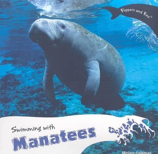 Swimming with Manatees