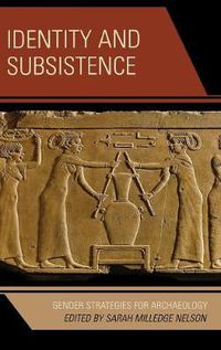 Cover image for Identity and Subsistence: Gender Strategies for Archaeology
