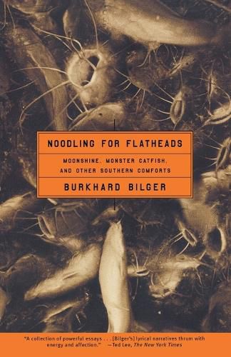 Cover image for Noodling for Flatheads: Moonshine, Monster Catfish, and Other Southern Comforts