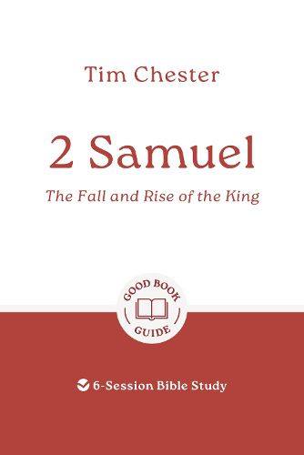 Cover image for 2 Samuel: The Fall and Rise of the King