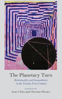 Cover image for The Planetary Turn: Relationality and Geoaesthetics in the Twenty-First Century