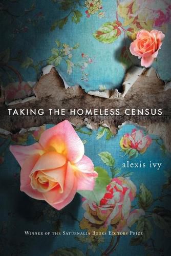 Cover image for Taking the Homeless Census