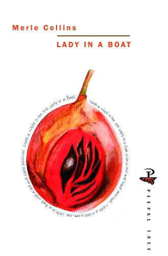 Cover image for Lady in a Boat