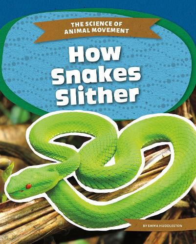 Science of Animal Movement: How Snakes Slither