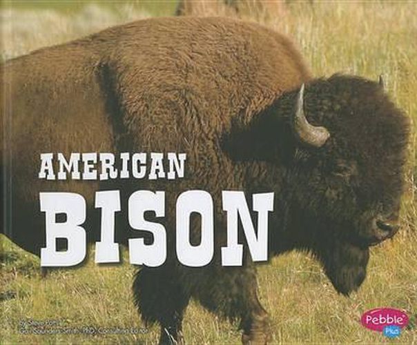 Cover image for American Bison
