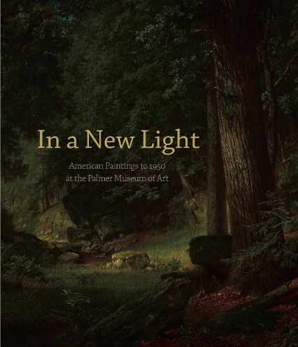 Cover image for In a New Light