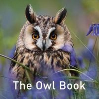 Cover image for The Owl Book