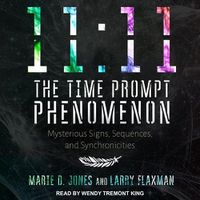 Cover image for 11:11 the Time Prompt Phenomenon