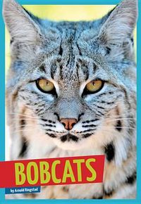 Cover image for Bobcats