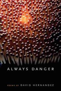 Cover image for Always Danger