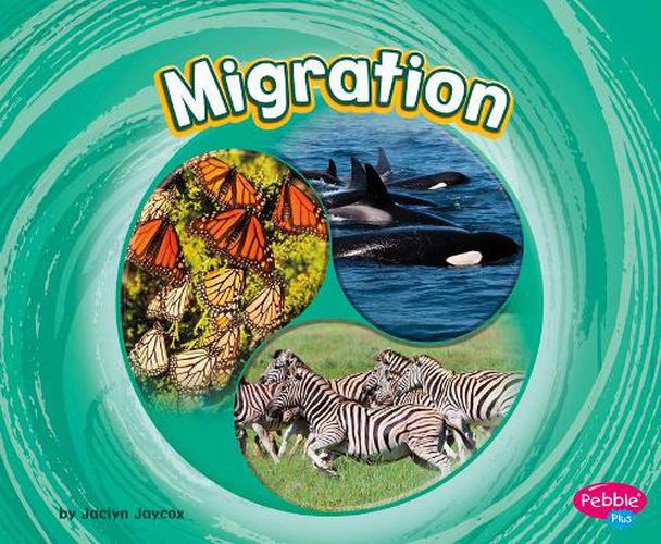 Cover image for Migration