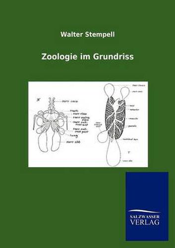 Cover image for Zoologie im Grundriss