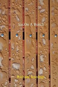 Cover image for Ice on a Bench