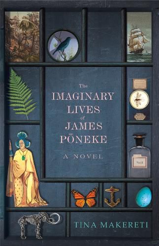 Cover image for The Imaginary Lives of James Poneke