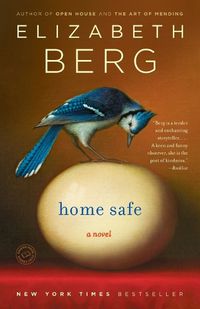 Cover image for Home Safe: A Novel