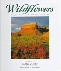 Cover image for Wildflowers of the Plateau and Canyon Country