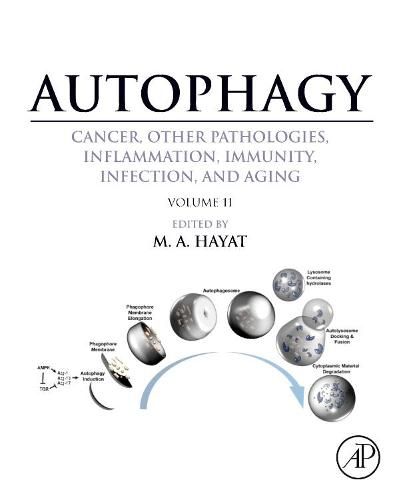 Cover image for Autophagy: Cancer, Other Pathologies, Inflammation, Immunity, Infection, and Aging