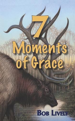 Cover image for 7 Moments of Grace