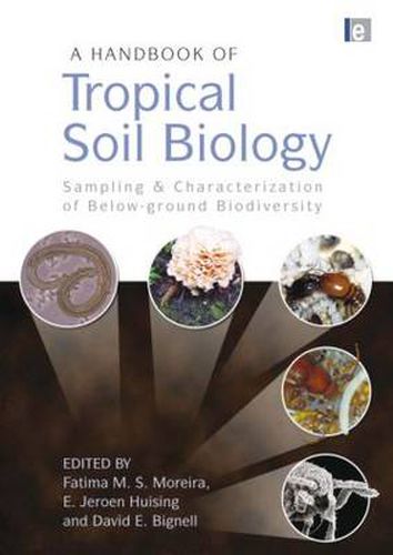 Cover image for A Handbook of Tropical Soil Biology: Sampling and Characterization of Below-ground Biodiversity