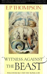 Cover image for Witness Against the Beast: William Blake and the Moral Law