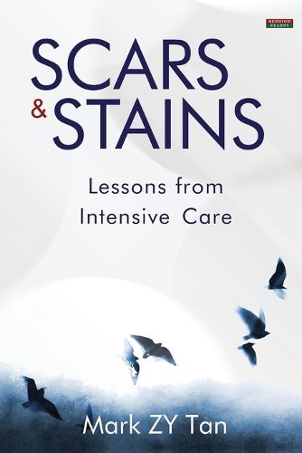 Cover image for Scars & Stains
