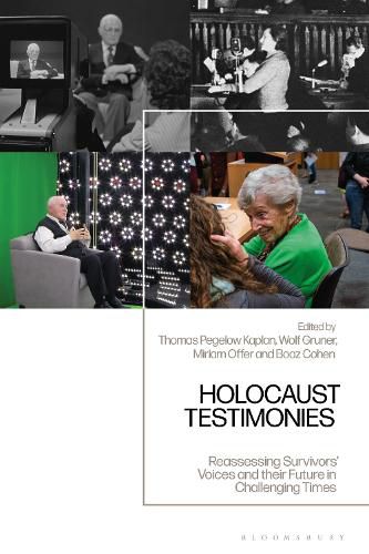 Cover image for Holocaust Testimonies