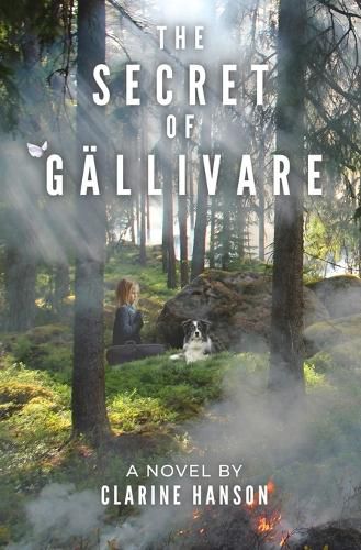 Cover image for The Secret of Gallivare