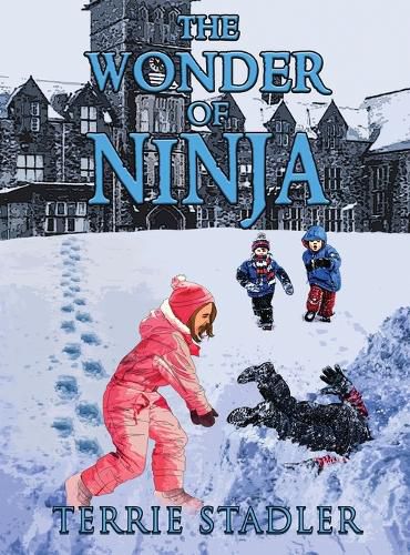 Cover image for The Wonder of Ninja