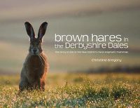 Cover image for Brown Hares in the Derbyshire Dales: The Story of One of the Peak District's Most Enigmatic Mammals