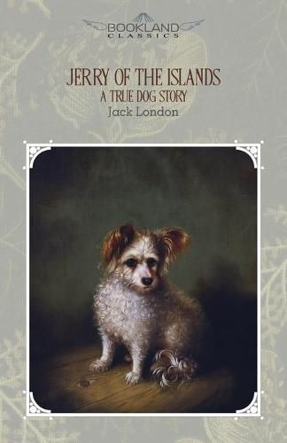 Cover image for Jerry of the Islands