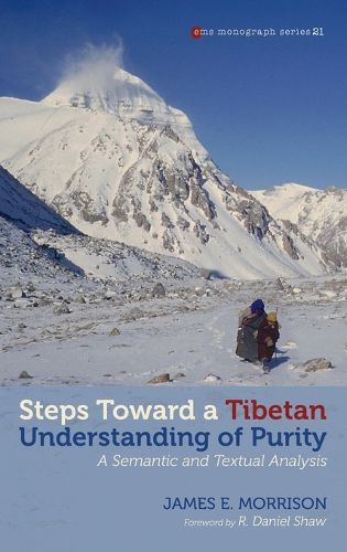 Cover image for Steps toward a Tibetan Understanding of Purity
