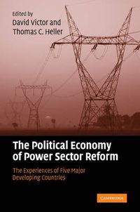 Cover image for The Political Economy of Power Sector Reform: The Experiences of Five Major Developing Countries