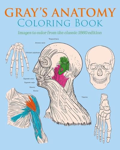 Gray's Anatomy Coloring Book: Images to Color from the Classic 1860 Edition