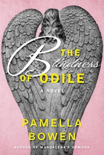 Cover image for The Blindness of Odile