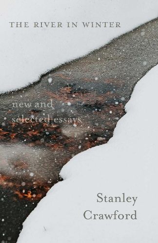 Cover image for The River in Winter