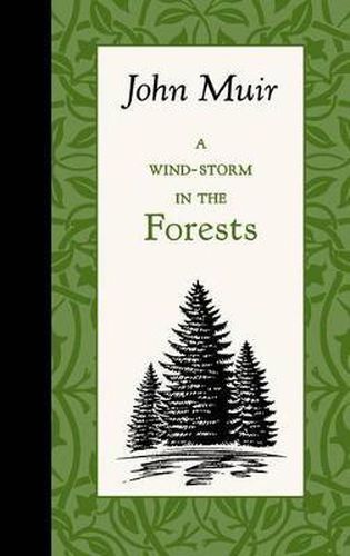 Cover image for A Wind-Storm in the Forests