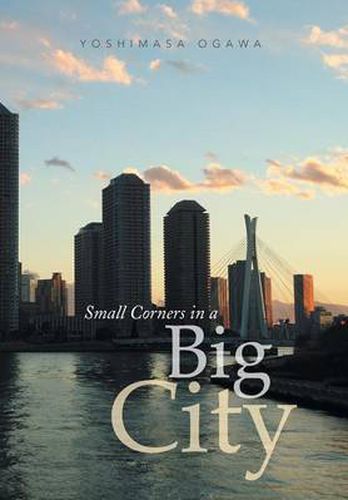 Cover image for Small Corners in a Big City