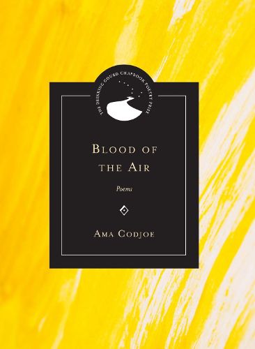 Cover image for Blood of the Air