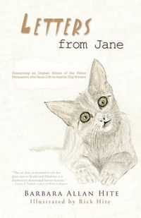 Cover image for Letters from Jane: The Adventures of an Abandoned Kitten