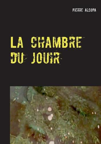 Cover image for La chambre du jouir
