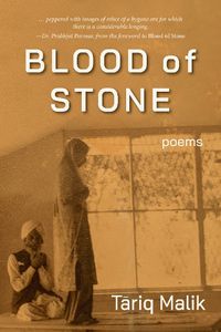 Cover image for Blood of Stone