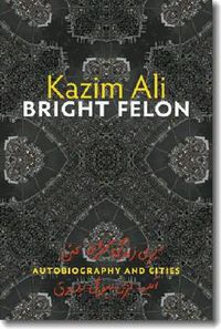 Cover image for Bright Felon