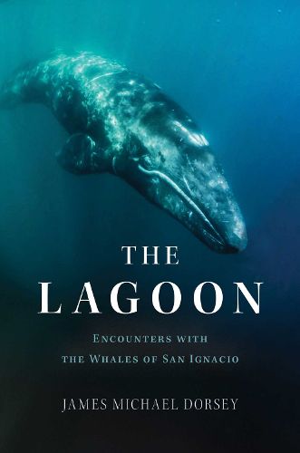 Cover image for The Lagoon: In Search of the Gray Whales of San Ignacio