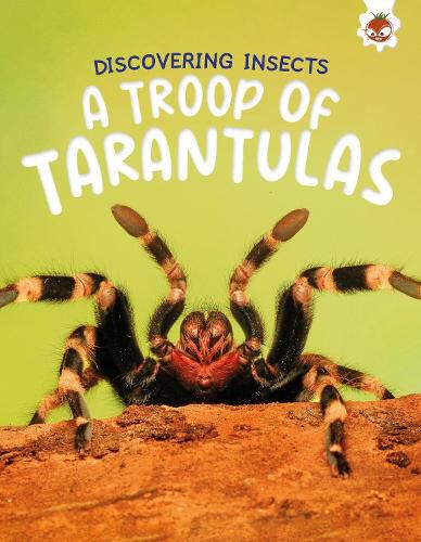 Cover image for Discovering Insects: A Troop of Tarantulas