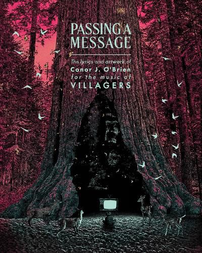 Cover image for Passing a Message