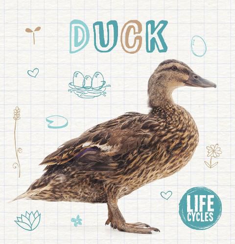 Cover image for Duck