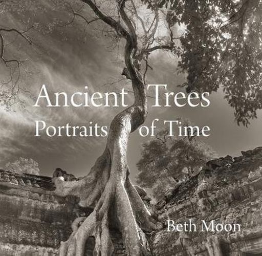 Cover image for Ancient Trees: Portraits of Time