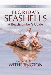 Cover image for Florida's Seashells: A Beachcomber's Guide