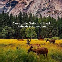 Cover image for Yosemite National Park Animals & Attractions Kids Book