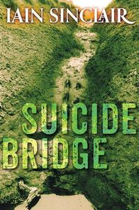 Cover image for Suicide Bridge